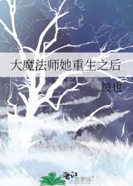 大魔法师转世重生