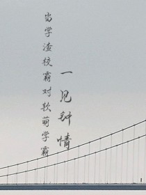 学霸一见钟情学渣