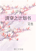 清穿守则小说免费阅读