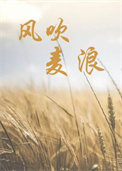 风吹麦浪孙俪李健