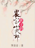世子的农家小夫郎 百度网盘